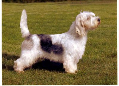 Photo by Alan V Walker