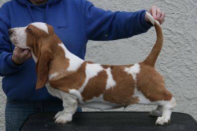Eddie @ 16 weeks